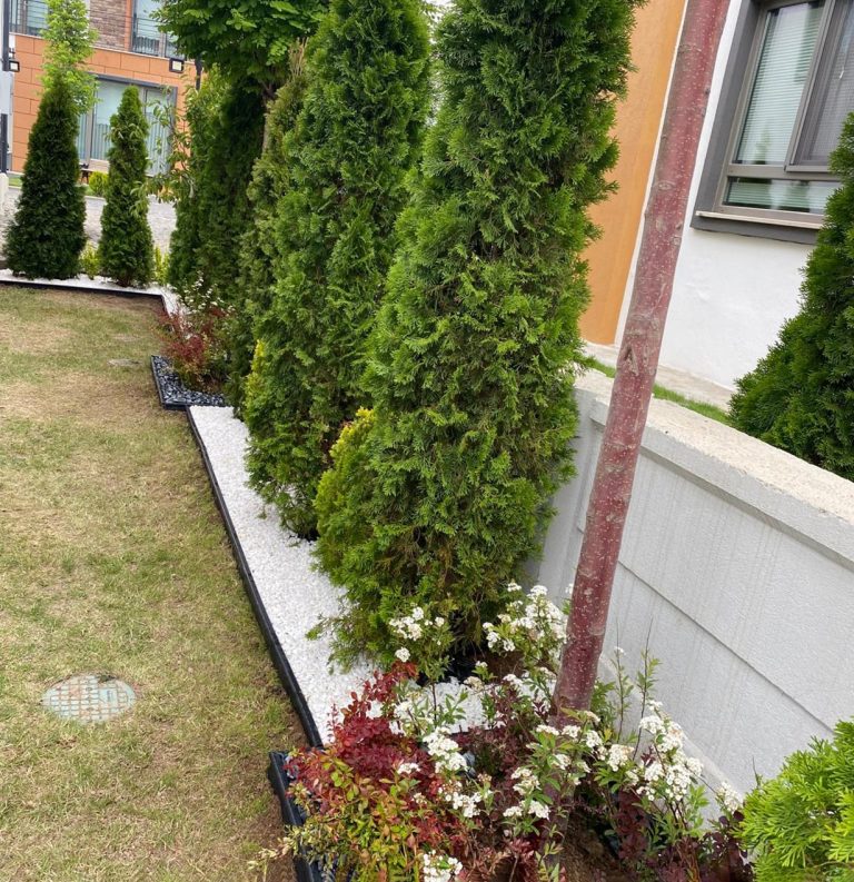 Bitkisel Peyzaj çalışması 3