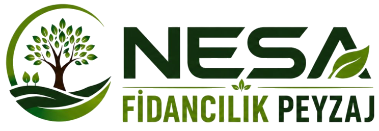 NESA Fidancılık Peyzaj